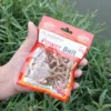 Dry Sandworm Fishing Bait