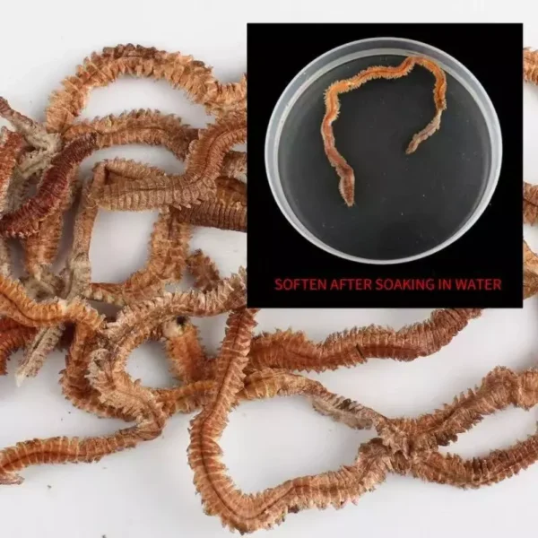 Dry Sandworm Fishing Bait