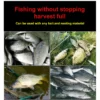 sg-11134201-7rfh1-m3u4j4cdh1qzd3.webp Freshwater Protein Fish Bait